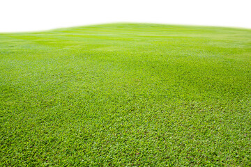 Sticker - green grass field on white background