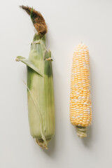 Wall Mural - Fresh corn on cob with husk on white, flat lay, top view. Vegan food, agriculture