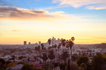 Wall Mural - Sunset through the palm trees, Los Angeles, California.