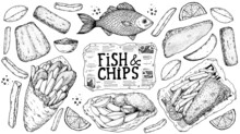 Fish And Chips Sketch Vector Illustration. British Pub Food. Hand Drawn Sketch. Cooking Fish And Chips. Engraved Hand Drawn Vintage Image. Menu Design Template.