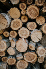 Sticker - Background of stacked dry firewood logs