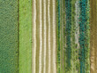 Aerial drone image of fields with diverse crop growth based on principle of polyculture and permaculture - a healthy farming method of ecosystem