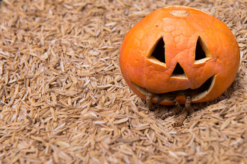 Poster - Jack-o-Lantern with worms