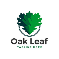 Wall Mural - oak tree leaf illustration logo design