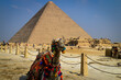 Egyptian Cultures, Temples, Pyramids, Ancient civilization