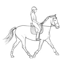 Young Woman Horse Rider Performing Equine Training, Horse Riding, Horse Stallion With Jockey Drawing For Sport Vector Illustration