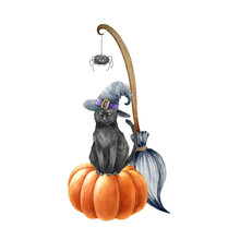Black Cat On Pumpkin Halloween Illustration. Black Cat In Witch Hat, Pumpkin, Broom And Spider Elements. Witchcraft Object Decoration. Spooky Funny Autumn Halloween Decor. White Background
