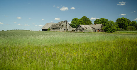 Canvas Print - Old wooden farmhouse in summer day.