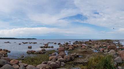 Wall Mural - panorama of a picturesque calm ocean landscape with large rocks in the foreground and forest shoreline behind