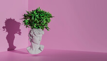 Head Of A Statue Of David On A Pink Background With Plants On His Head.