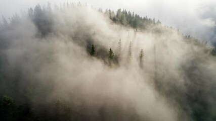 Aufkleber - Aerial shot of mountain forest in the clouds. Sunny morning in the foggy mountains. Sun rays make their way through the fog and tree branches. High quality 4K shot