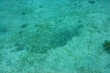 © Masakazu Tokashiki - フィリピンのパラワン州エルニドでダイビングをしている風景 Scenery of diving in El Nido, Palawan, Philippines.