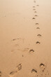 dog and human footprints on beach sand