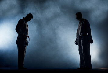 Wall Mural - Taekwondo action isolated by a young men