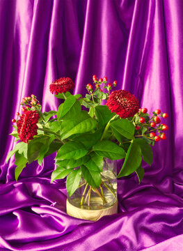 Autumn bouquet. Red daisy flower,  green leaves and red berries bunch in glass vase on draped purple silk background. Draped elegant smooth purple fabri. Modern floral concept. Festive home decoration