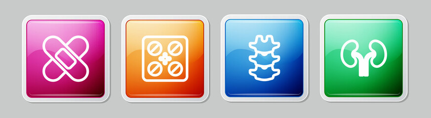 Set line Crossed bandage plaster, Pills in blister pack, Human spine and kidneys. Colorful square button. Vector