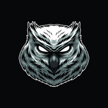 Owl Drawing Mascot Illustration Design
