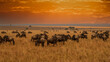Masai Mara wildebeest migration in Tanzania, Africa.