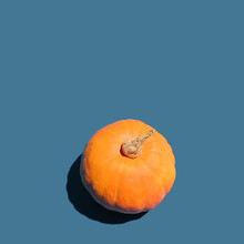 Minimal Aesthetic Halloween Concept With Isolated Pumpkin On Dark Blue Background. Creative Graphic Holiday Autumn Idea, Square Geometric Composition.