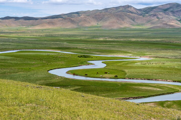 Wall Mural - horses on the river in mountains