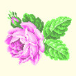 vector embroidery purple rose