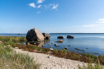 Sticker - sandy beach and large boulders on the Baltic Sea coast in Laheema National Park in Estonia