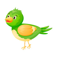 Vector isolated image of cartoon character green baby bird with bright plumage.