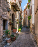 Fototapeta Na drzwi - Collepardo, beautiful medieval village in the province of Frosinone, Lazio, central Italy.