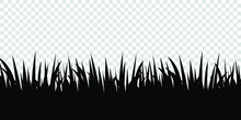 Black Grass Transparent Background. Vector Illustration.