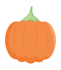 Poster - pumpkin vegetable icon