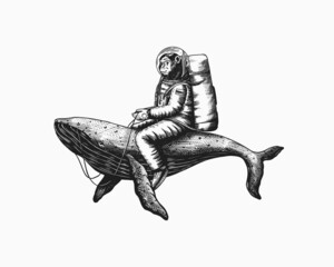 Monkey astronaut with blue whale. Funny Chimpanzee spaceman cosmonaut character. Astronomical galaxy space. Hand drawn Engraved old monochrome sketch. Vector illustration for t-shirt, tattoo 