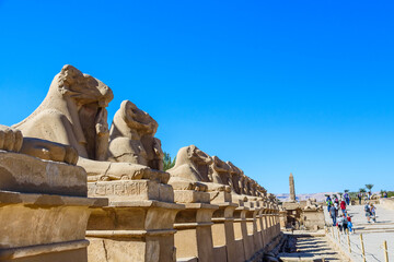 Wall Mural - Avenue of the ram-headed Sphinxes in a Karnak Temple. Luxor, Egypt