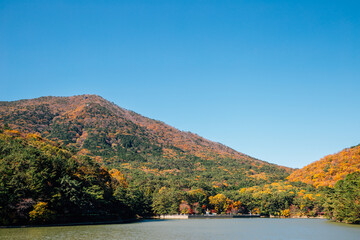 Wall Mural - Autumn mountain and lake at Busan Children's Grand Park in Busan, Korea