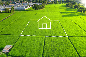 Wall Mural - land or landscape of green field in aerial view. include agriculture farm, icon of residential, home