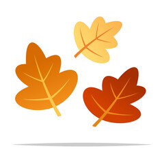 autumn leaves vector isolated illustration