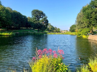 view of the pond in the Rosensteinpark in Stuttgart on a sunny summer day