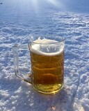 Fototapeta  - Beer and snow
