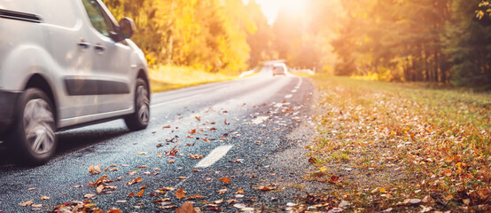 Canvas Print - Asphalt road with beautiful trees on the sides in autumn