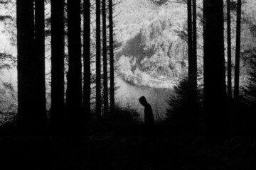 Wall Mural - A spooky, eerie forest. With a hooded man silhouetted against the trees. With a textured, grunge, vintage edit