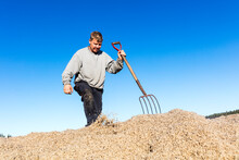 Male Farmer With Pitchfork Working During Harvest
