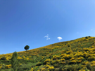 Sticker - Beautiful shot of a natural landscape