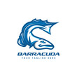 Barracuda logo design vector illustration