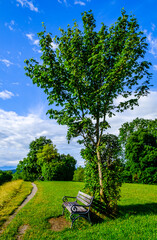 Canvas Print - old park bench