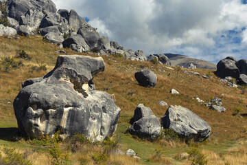 Poster - Beautiful view of the big and small rocks at castle hill New Zealand on a sunny day