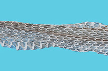 A Macro Image Of A Section Of Discarded Snake Skin Isolated Against A Light Blue Background.