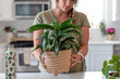 © Kristen - Young woman placing a new houseplant on the kitchen counter