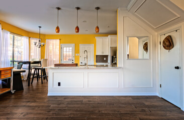 Open modern kitchen in a single family home, Texas