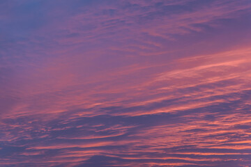 Poster - Pink cloudscape during spring susnet