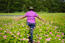 Rear View Of Woman In Purple Shirt And Hat Walking In Field Of Pink Flowers, African American