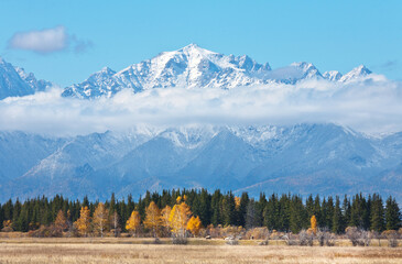 Wall Mural - Beautiful mountain landscape with snow-capped peaks of the Eastern Sayan, low clouds and yellow meadows in the foothill valley. Siberia, Baikal region, Buryatia, Tunka valley, Arshan